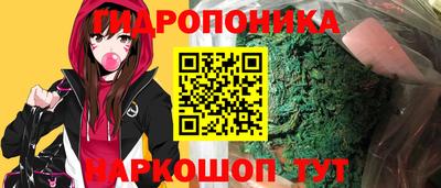 мяу мяу мука Новозыбков